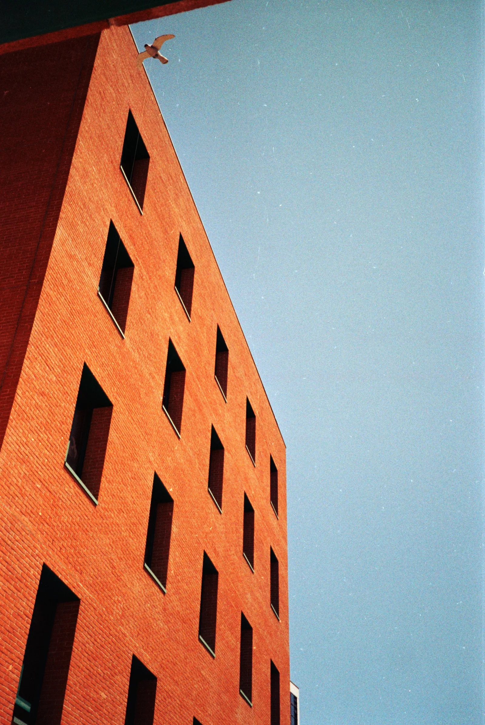 Diary, color — 12