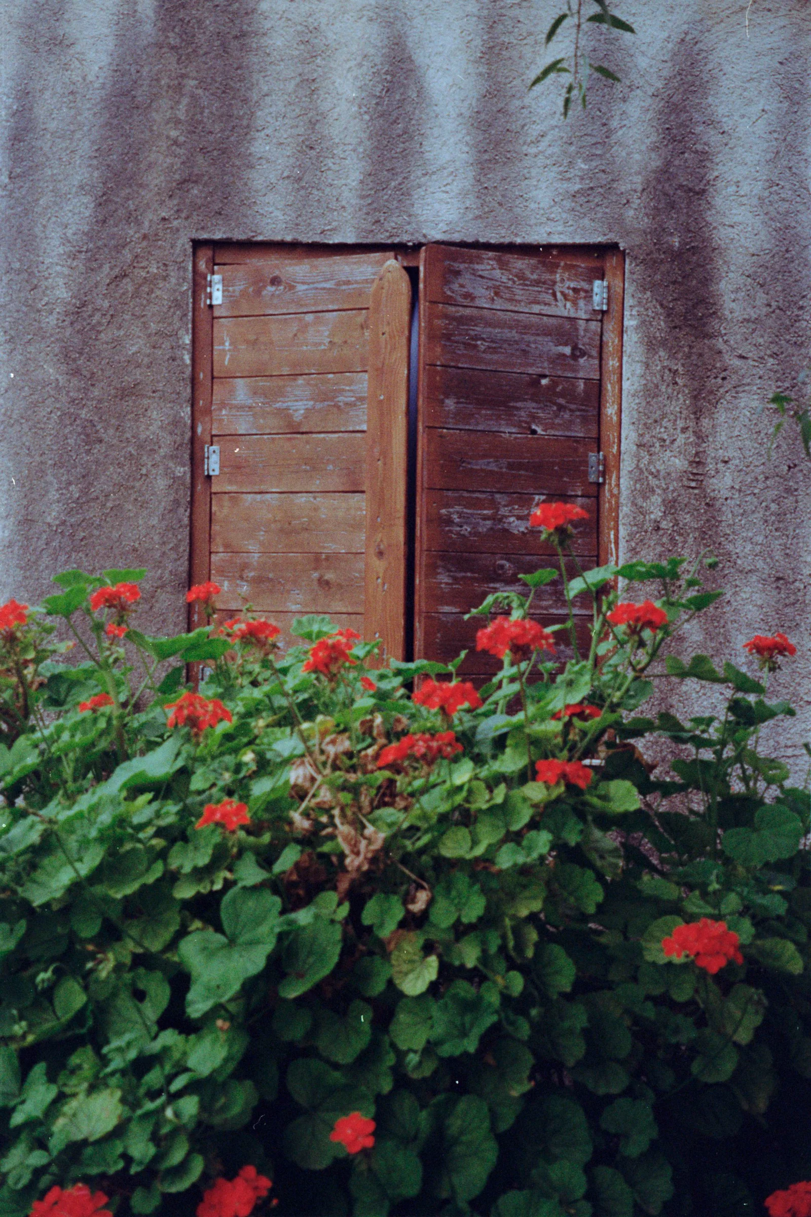 Diary, color — 5