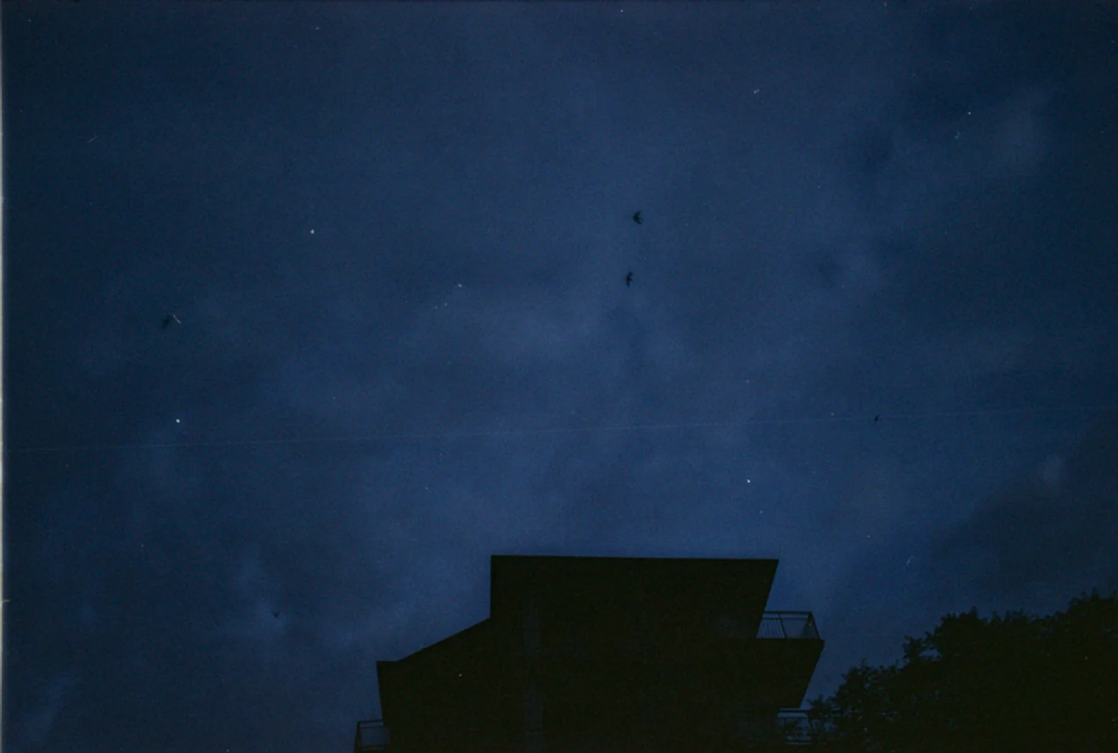 Diary, color — 199