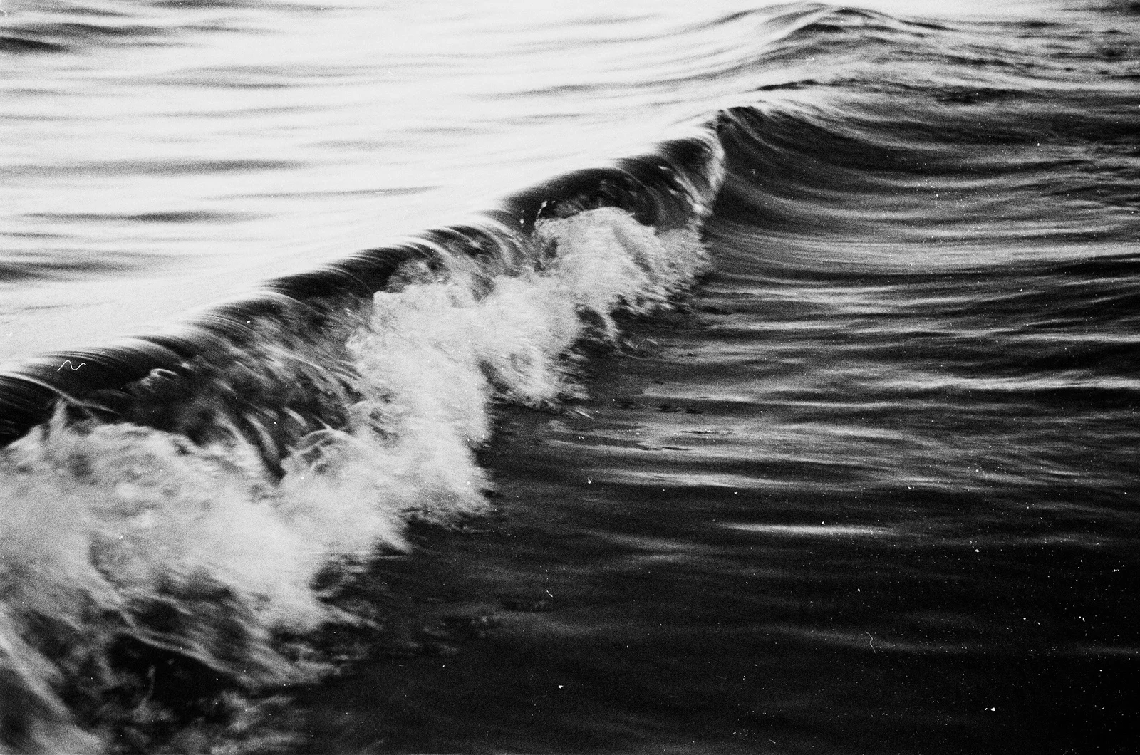 Diary, black and white — 75