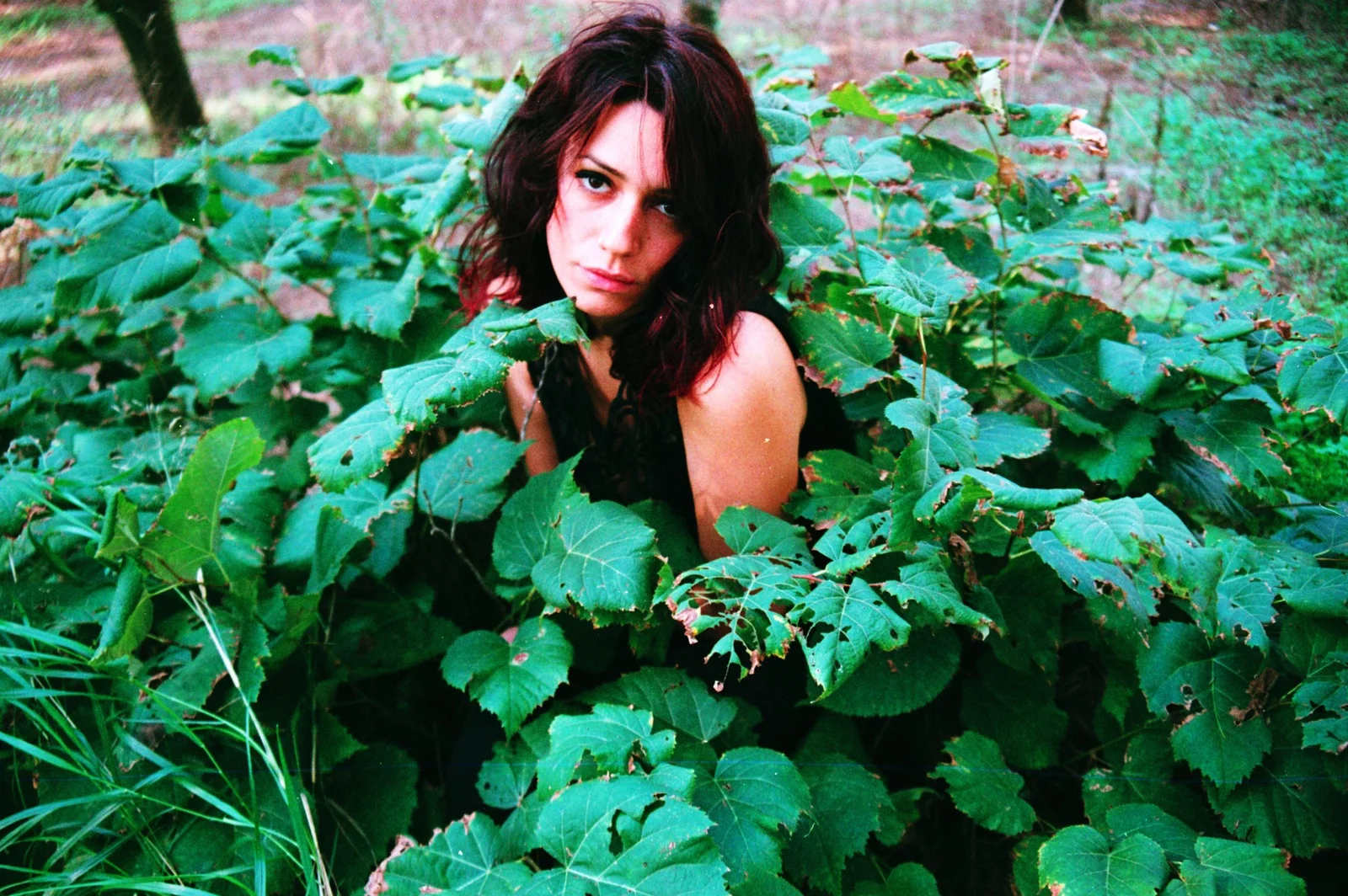 Spiders in her hair — Color — photograph 1