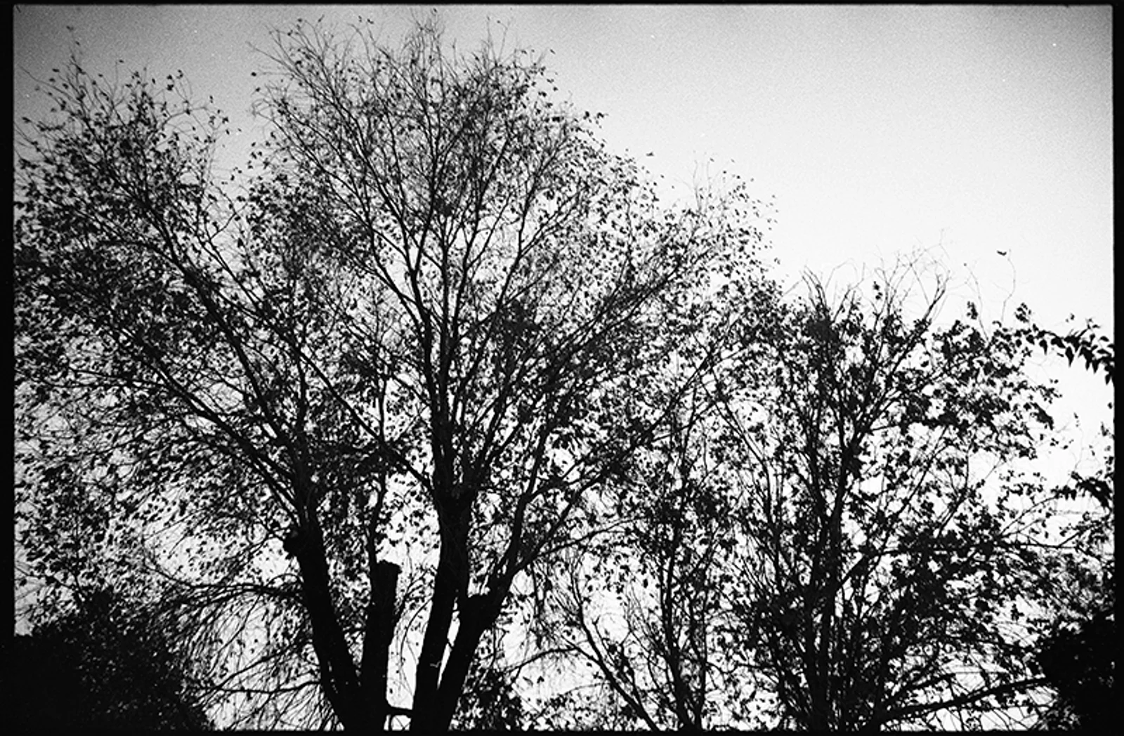Diary, black and white — 57
