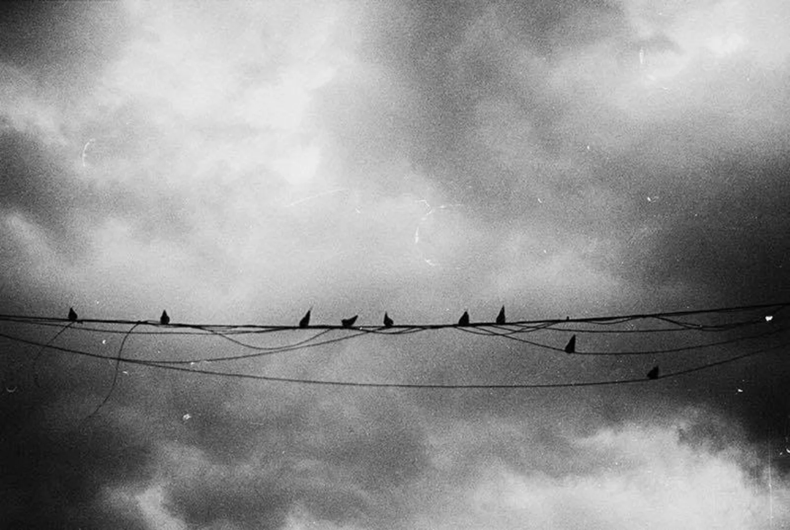 Diary, black and white — 55