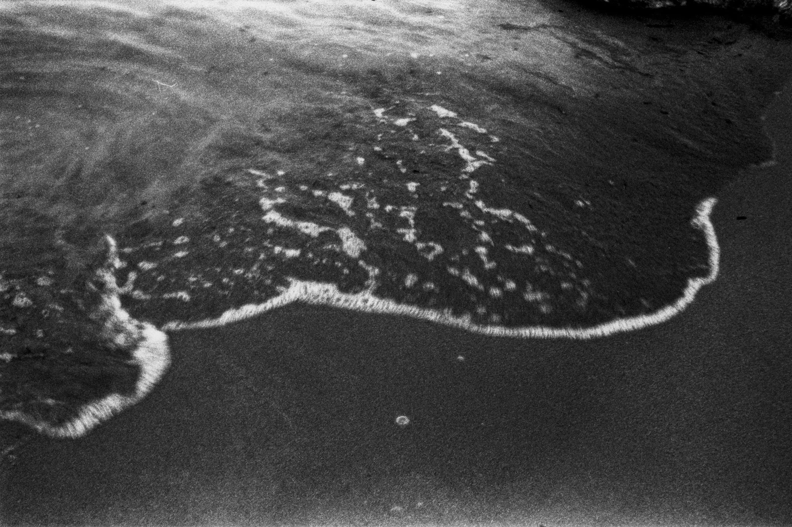 Diary, black and white — 41
