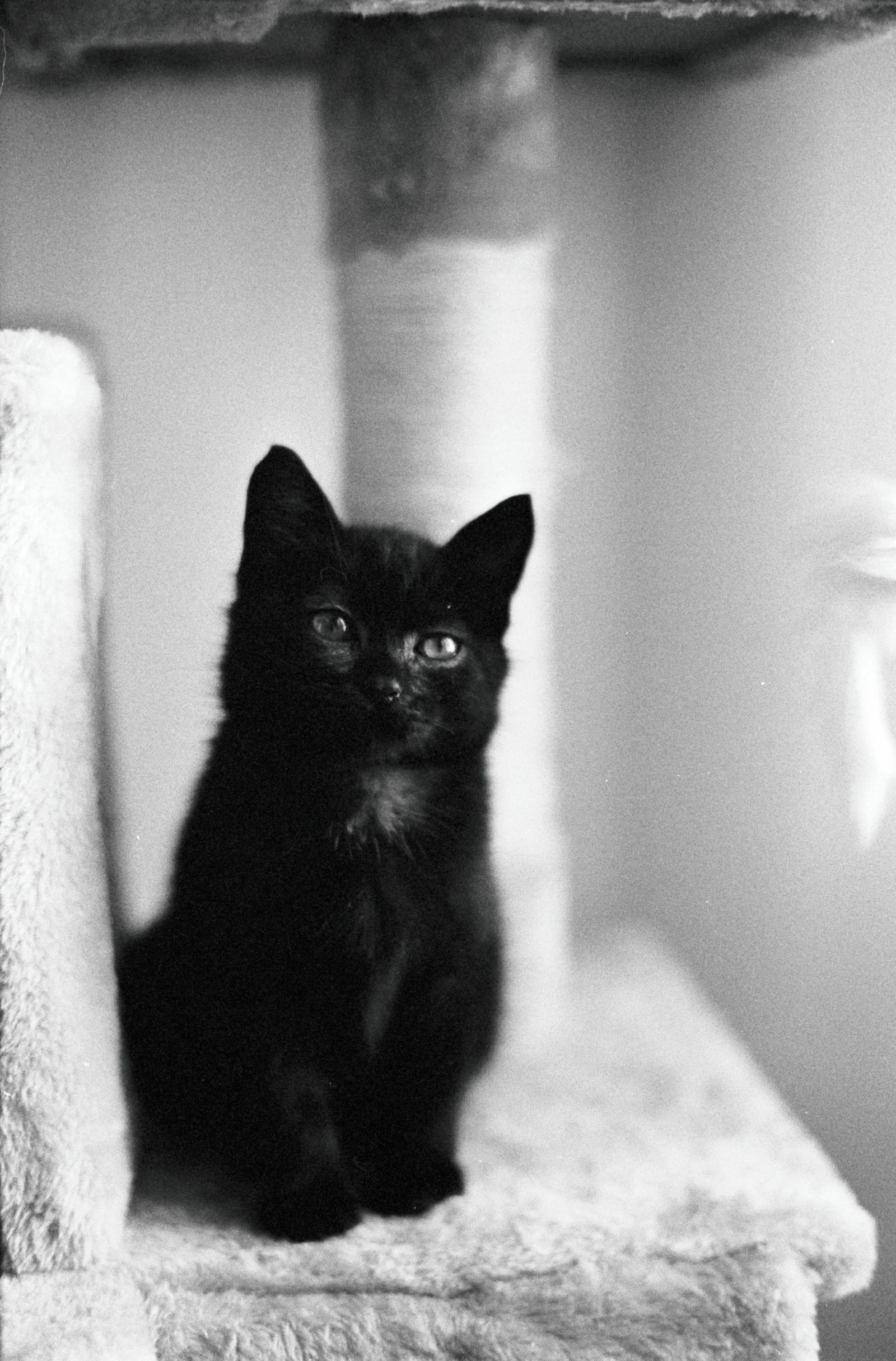 Diary, black and white — 35