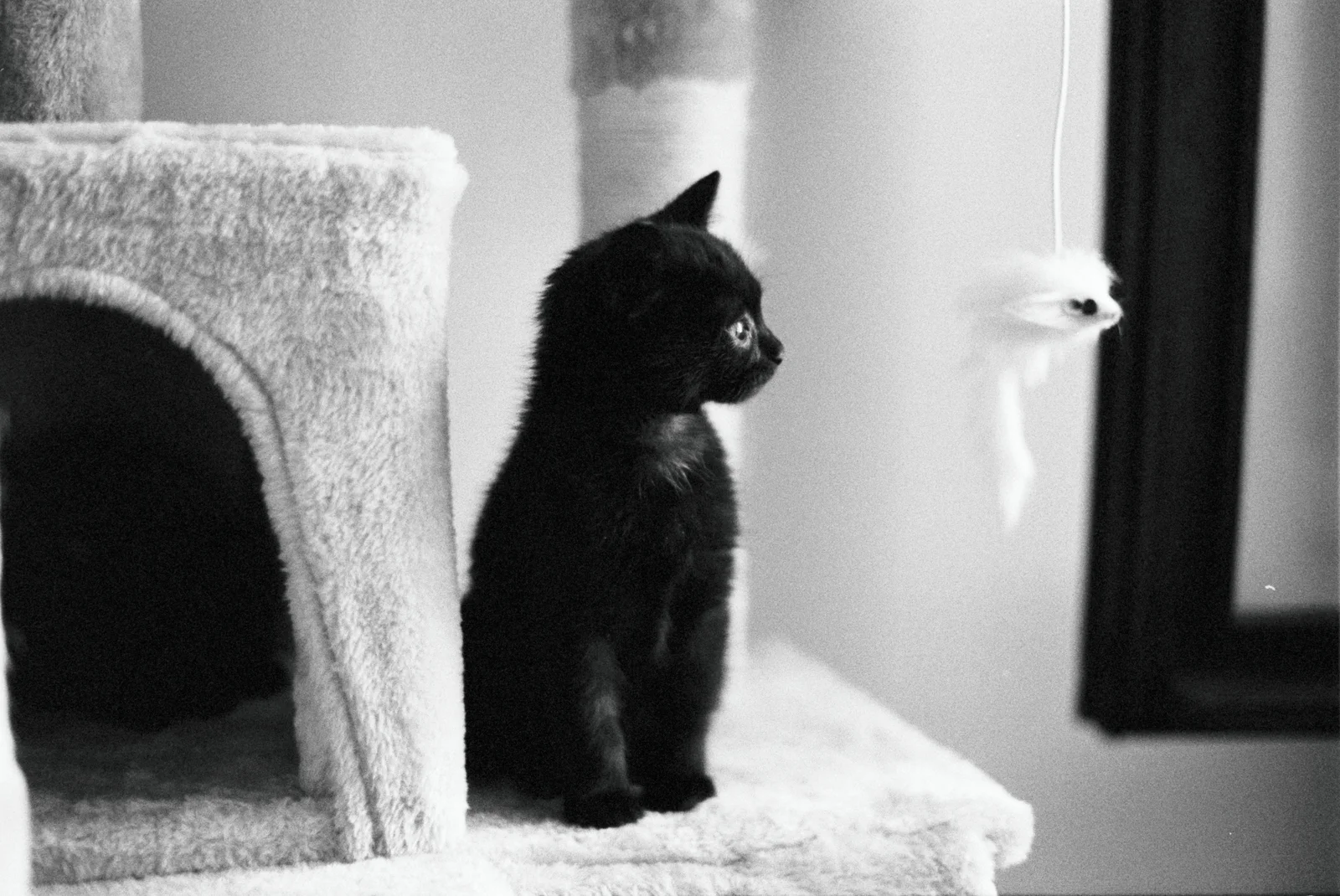 Diary, black and white — 34