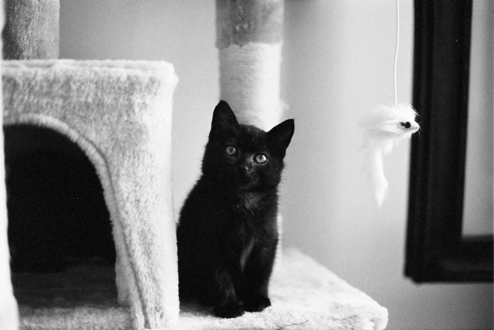 Diary, black and white — 33