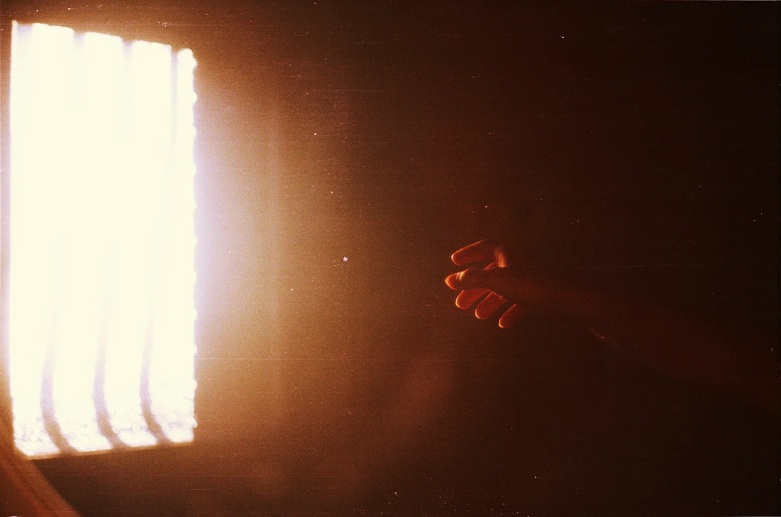 Diary, color — 135