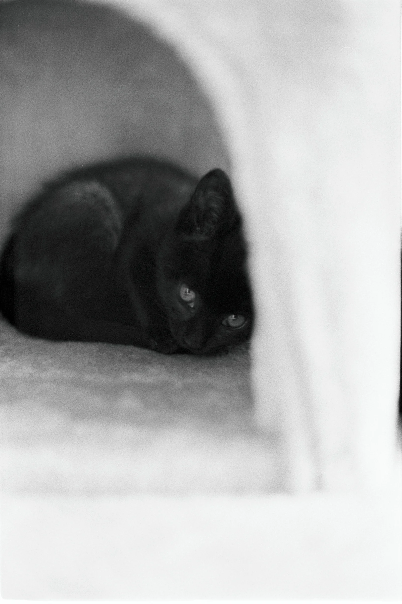 Diary, black and white — 32