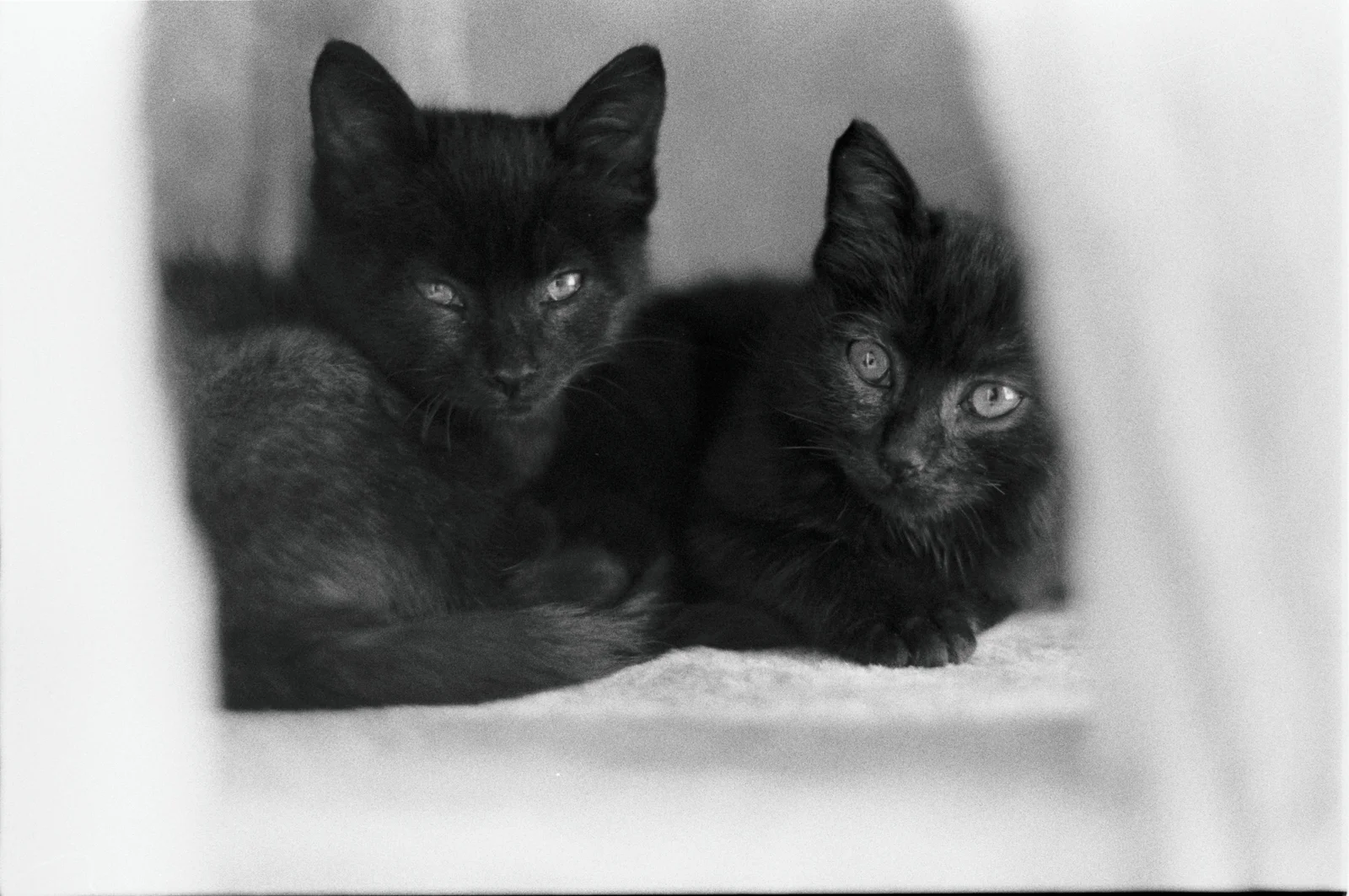 Diary, black and white — 31