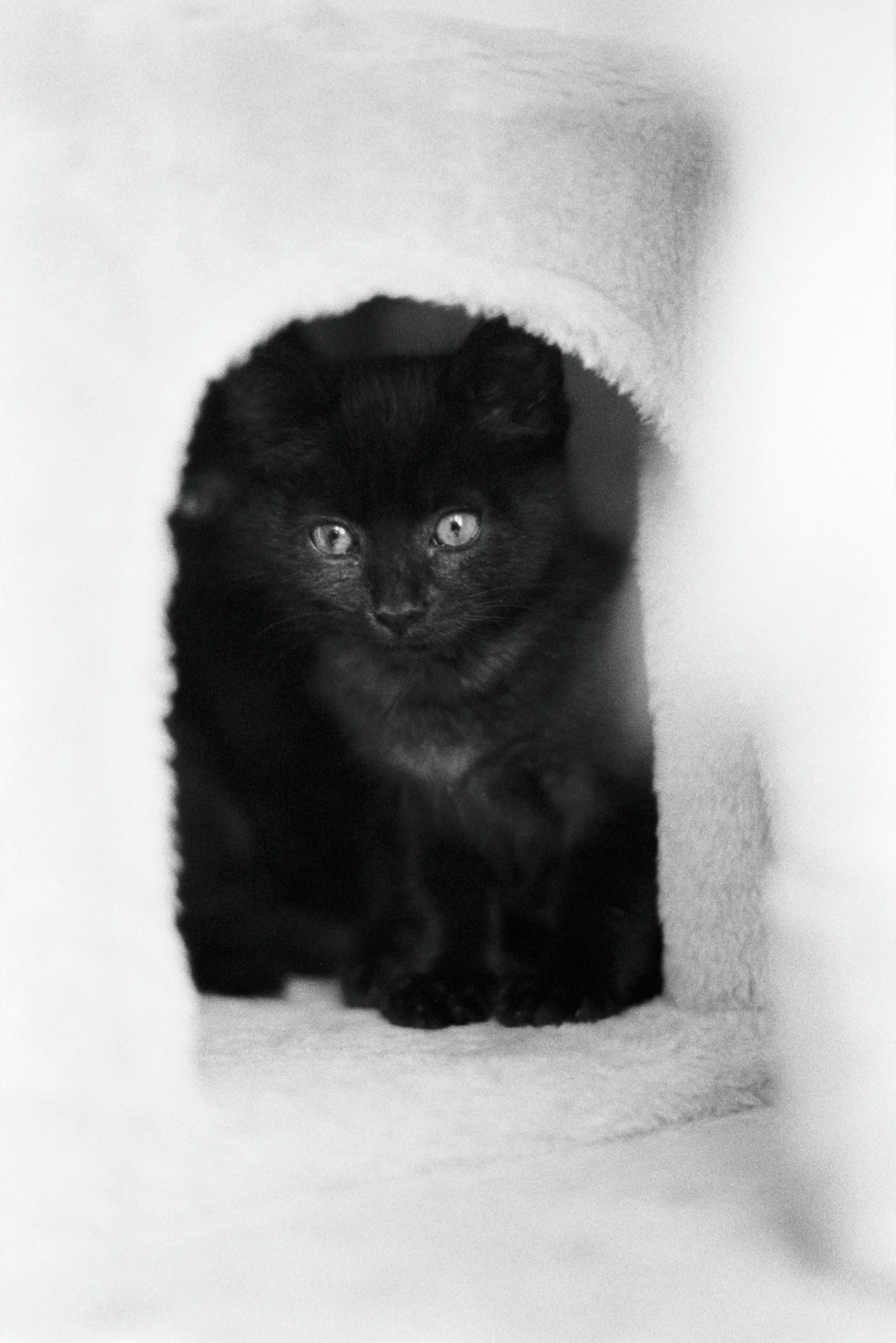 Diary, black and white — 30