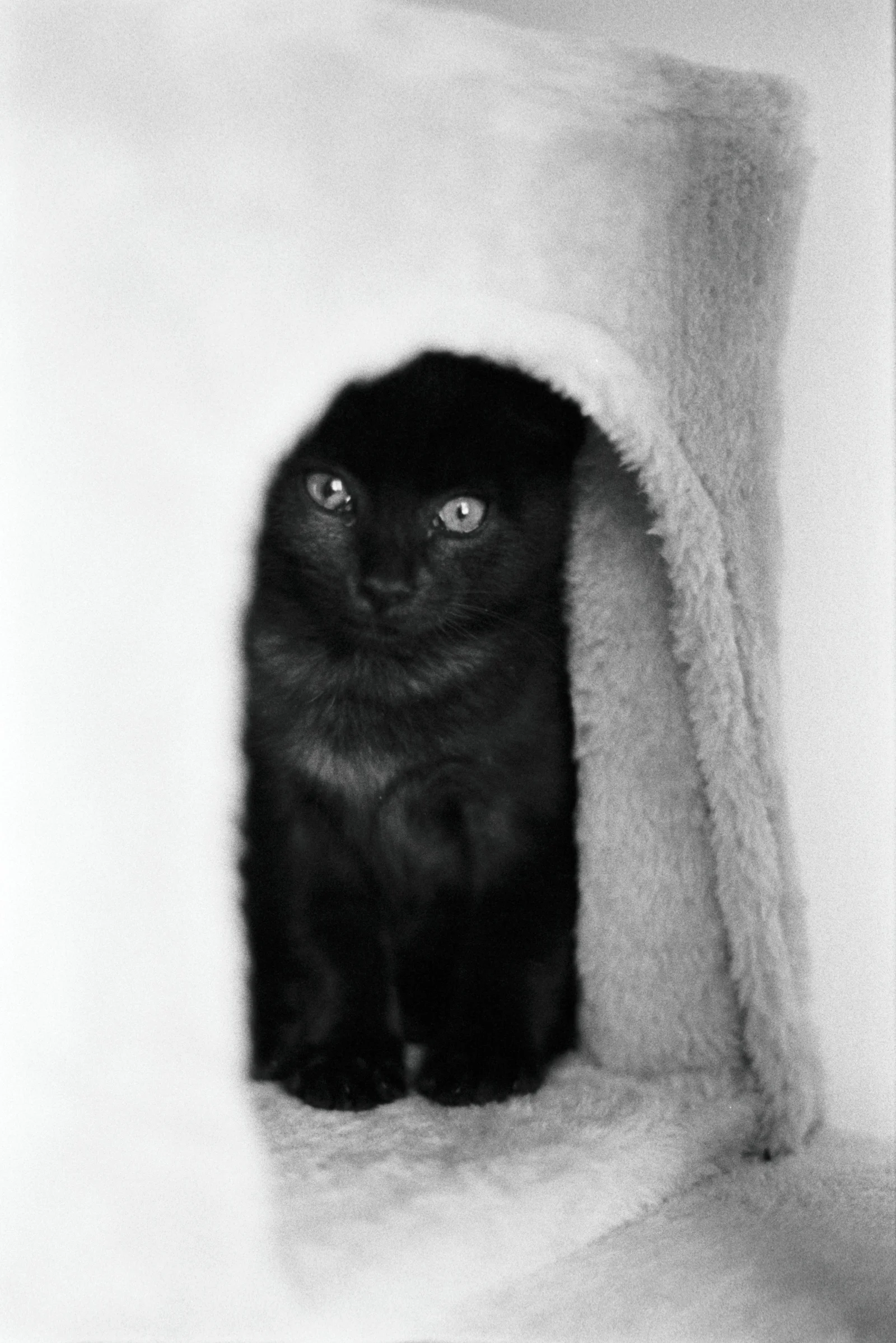 Diary, black and white — 29