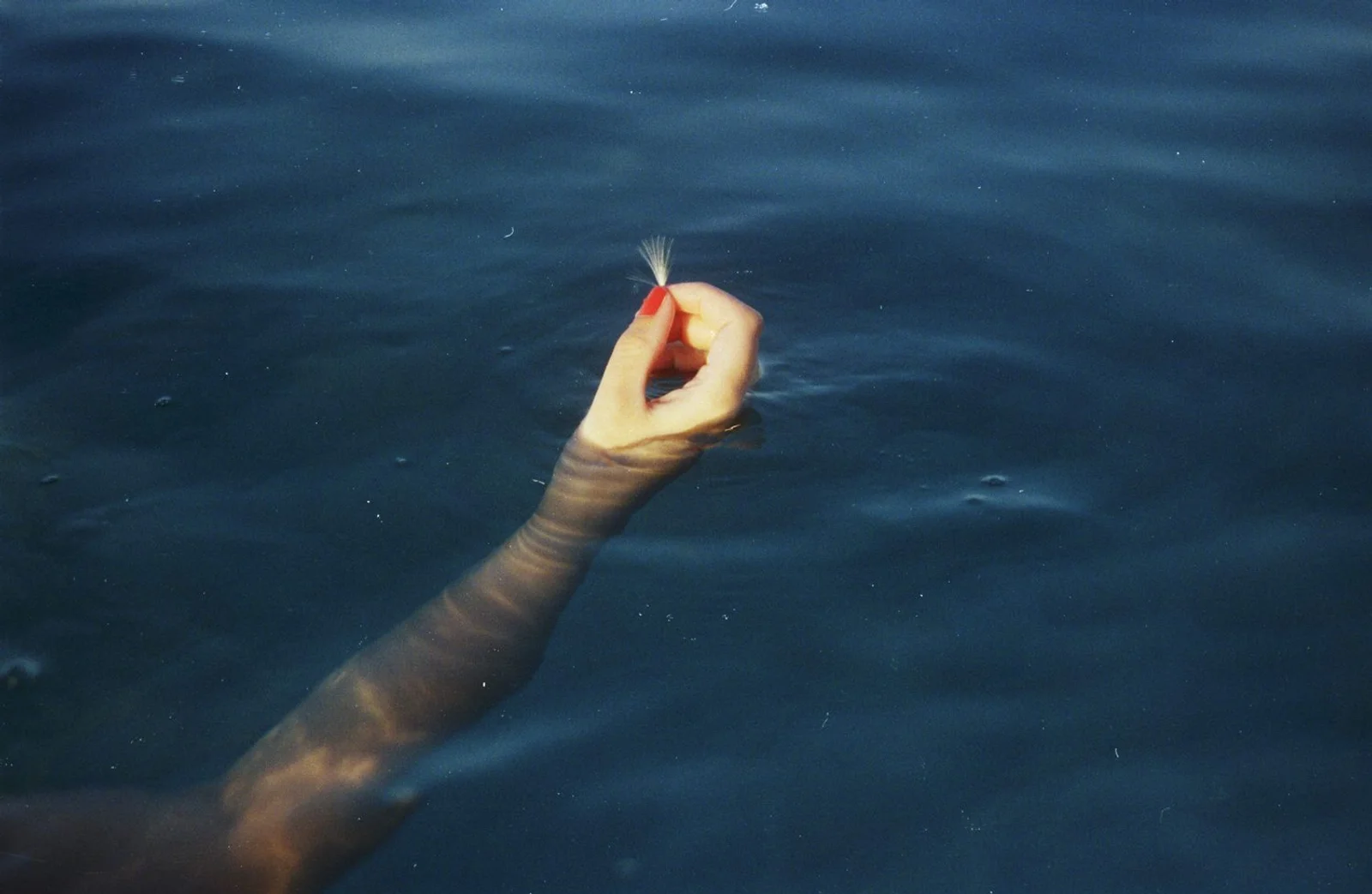 Diary, color — 131