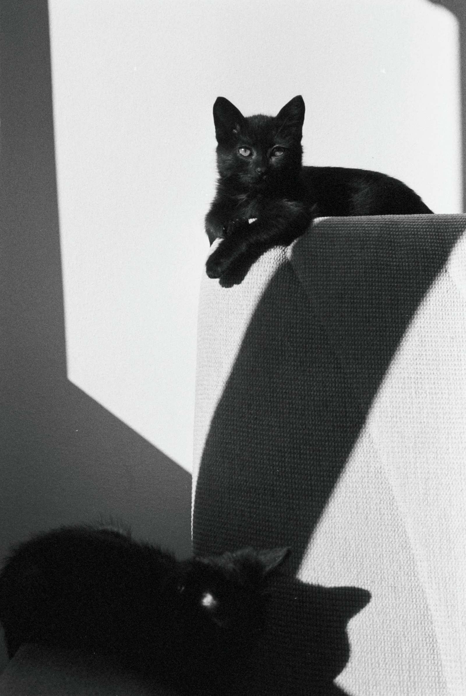Diary, black and white — 28