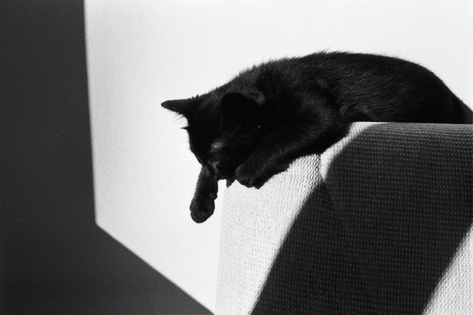 Diary, black and white — 27