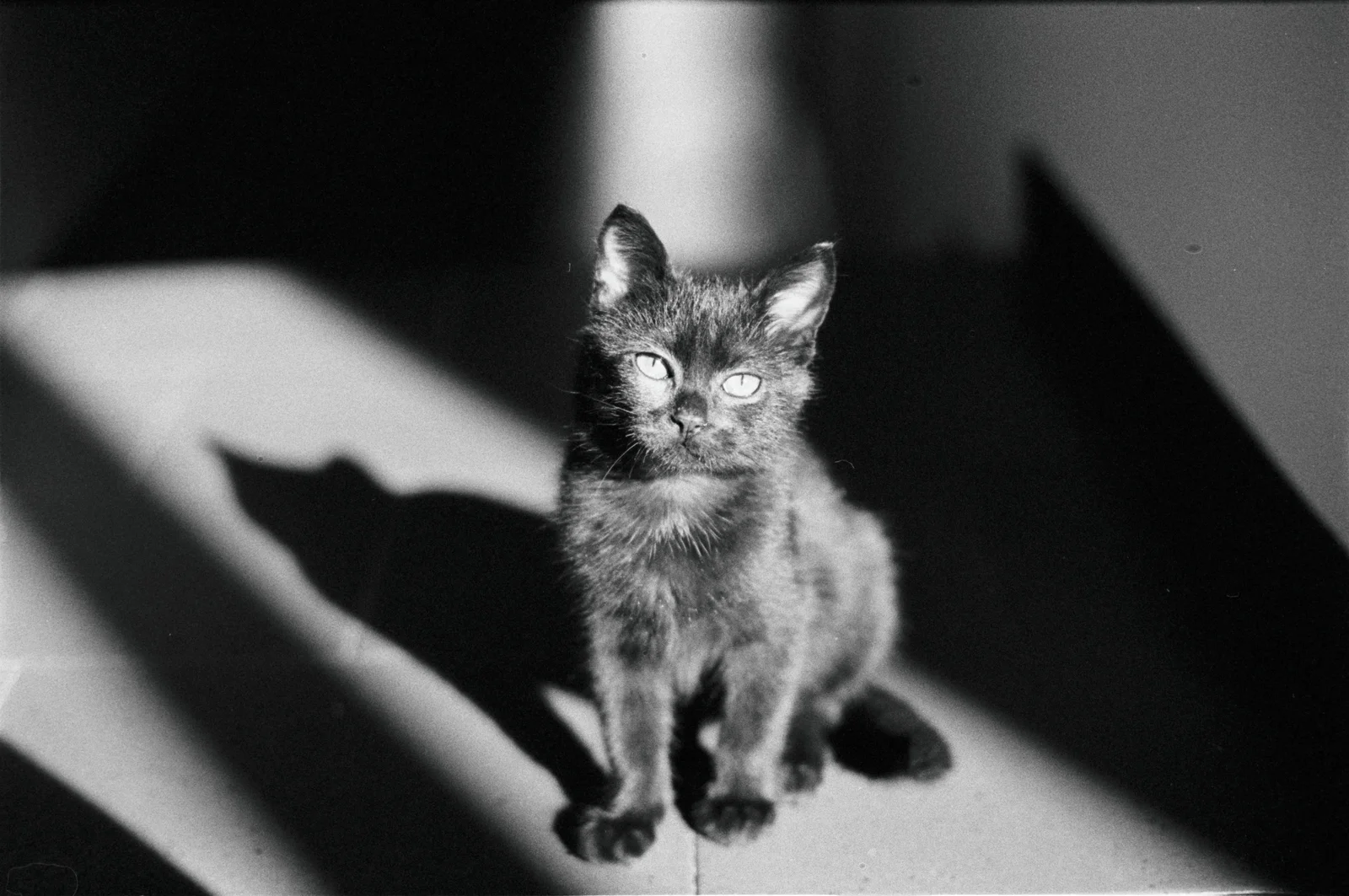 Diary, black and white — 26