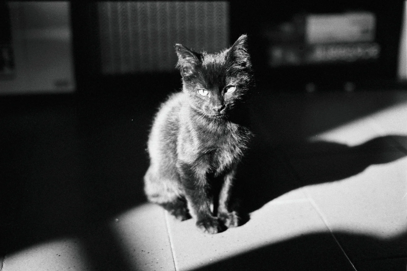 Diary, black and white — 25
