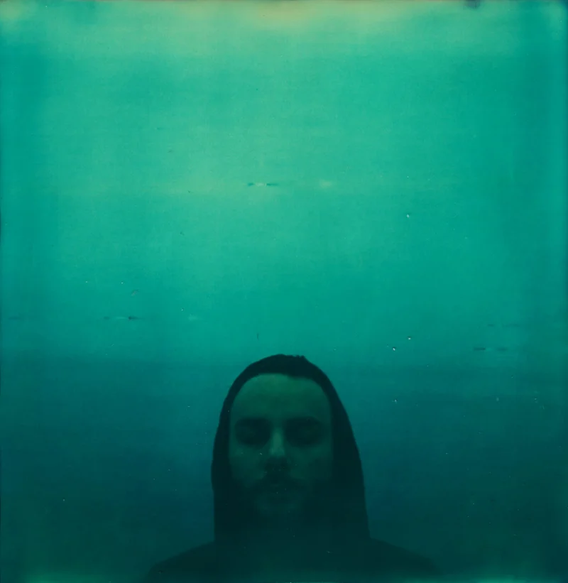 Fog, 2013