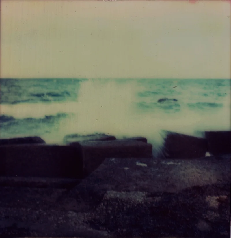 I belong there, 2013