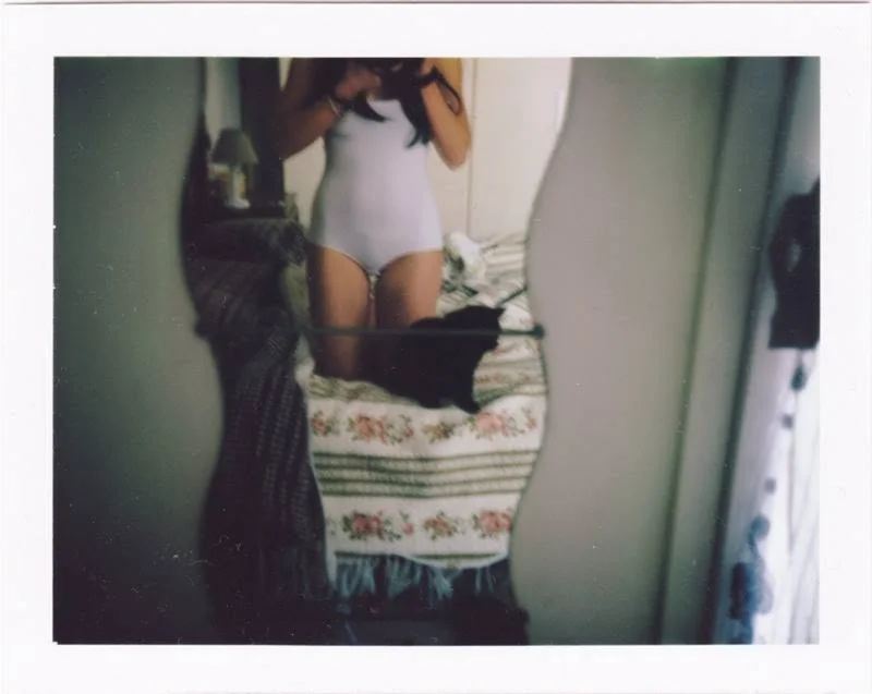 Lovecats, 2014