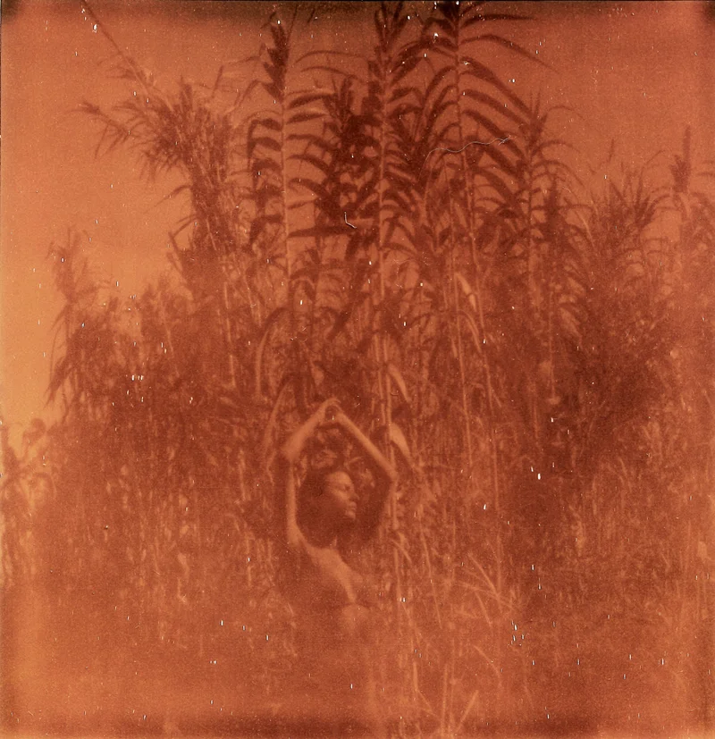 Primitive heart, 2014