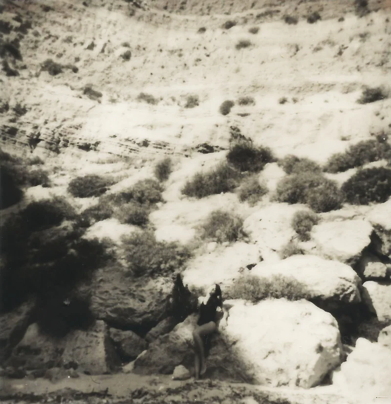 Vorel, 2018