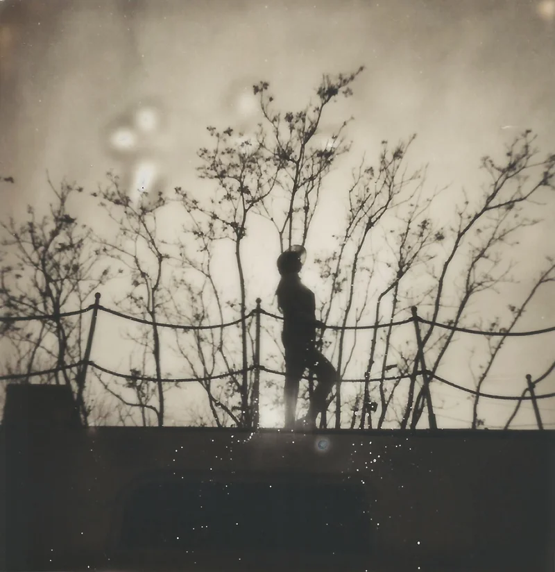 Wish, 2018